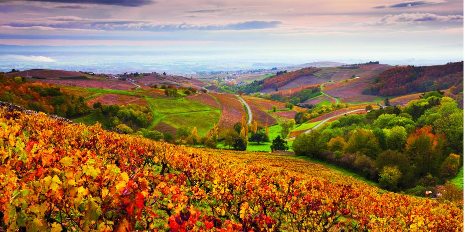 Séjourner dans le Beaujolais : comment le faire en plein air ?