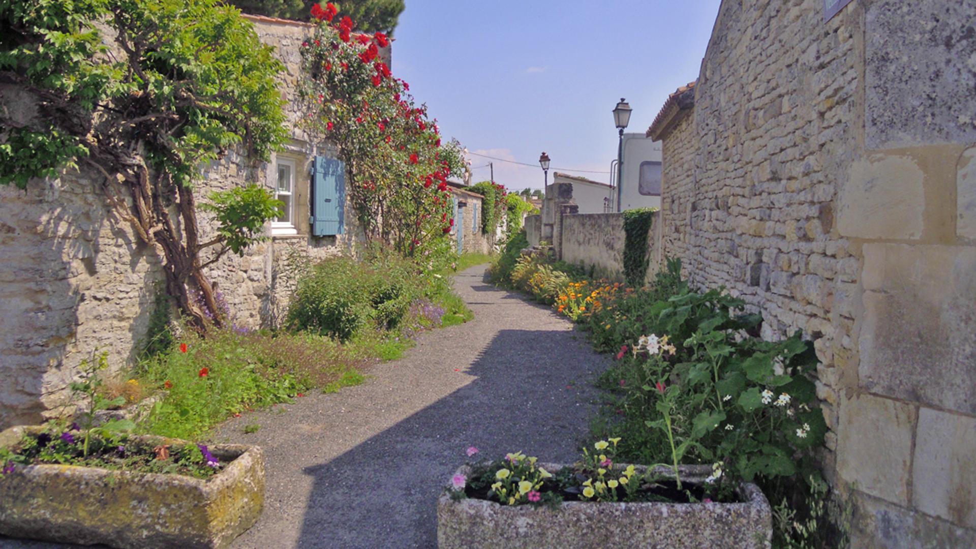 Pourquoi choisir un camping pas cher sur l’Ile d’Oléron
