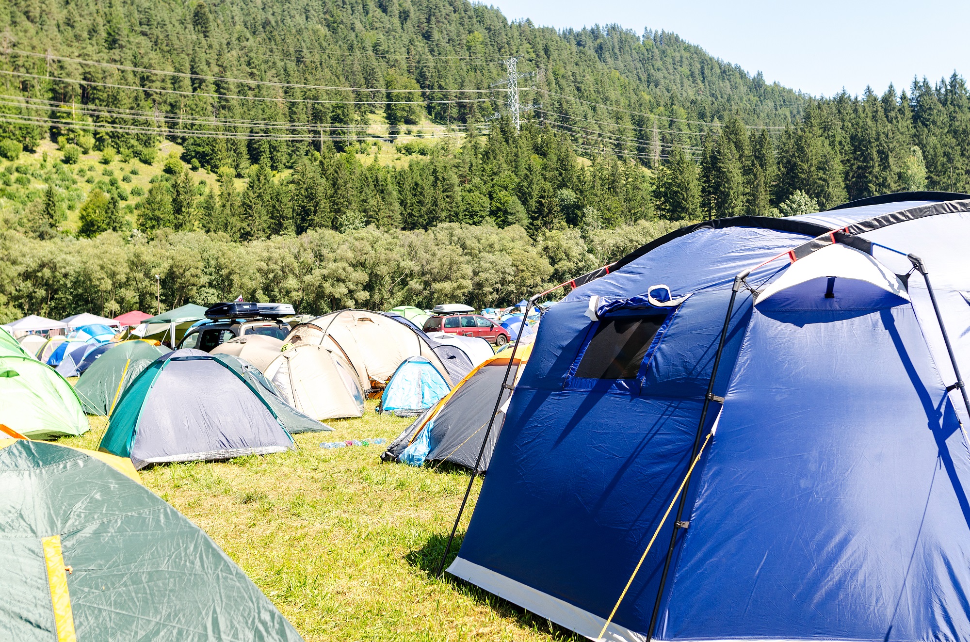 Treflio, quelle est cette chaine de campings ?
